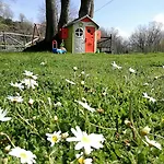 Viola Nel Parco Farma