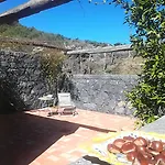 Viola Nel Parco *