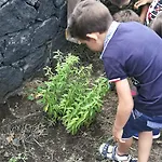 Farma Viola Nel Parco *