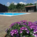 Viola Nel Parco