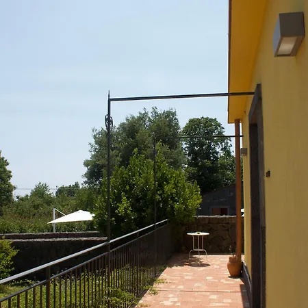 Viola Nel Parco * SantʼAlfio