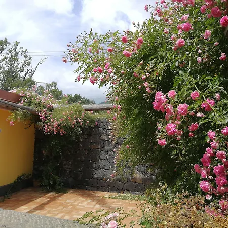 Viola Nel Parco Alloggio per agriturismo SantʼAlfio