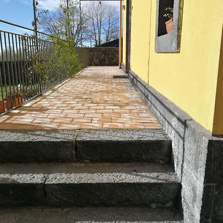 Viola Nel Parco *