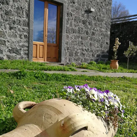 Viola Nel Parco Alloggio per agriturismo SantʼAlfio