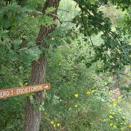 Viola Nel Parco בית חווה SantʼAlfio