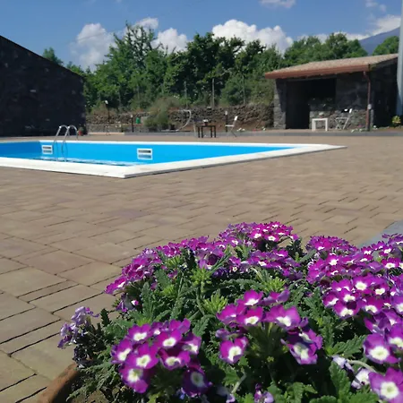 Viola Nel Parco