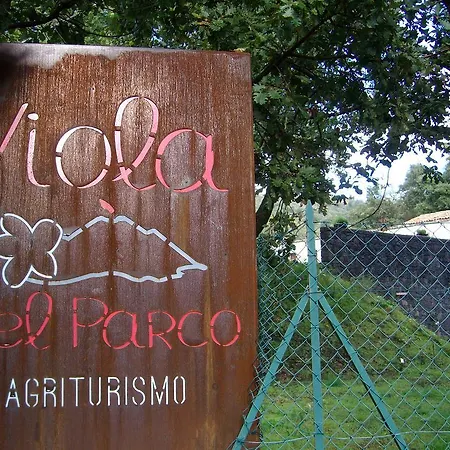 Viola Nel Parco