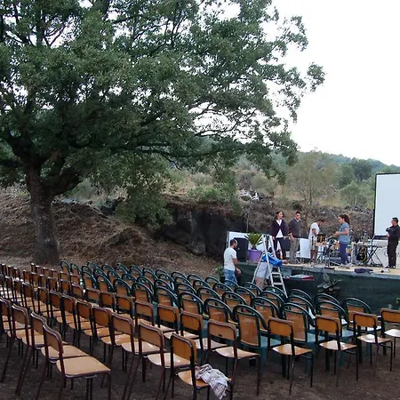 Viola Nel Parco SantʼAlfio