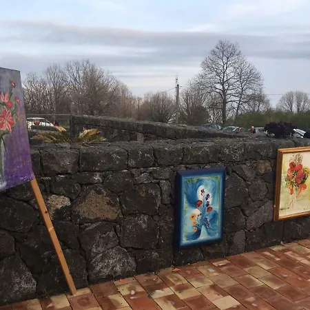Viola Nel Parco *