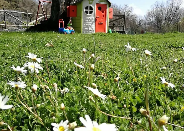 Viola Nel Parco Agroturismo