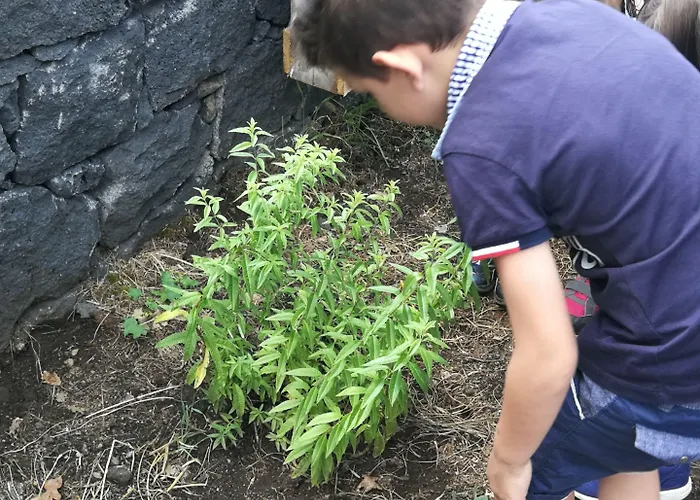 Agroturismo Viola Nel Parco *