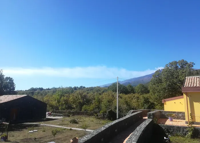 Viola Nel Parco *