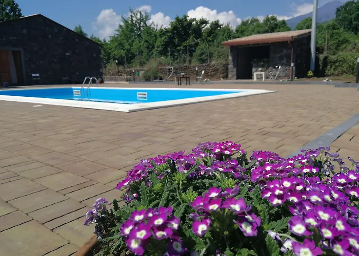 Viola Nel Parco