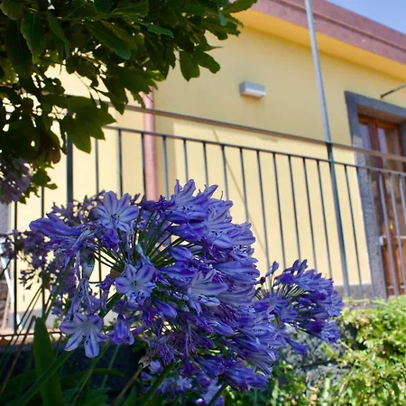 Farmház Viola Nel Parco *