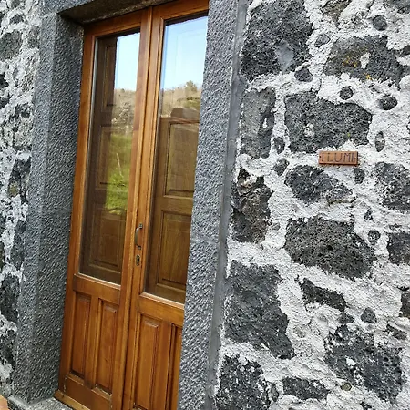 Viola Nel Parco * SantʼAlfio