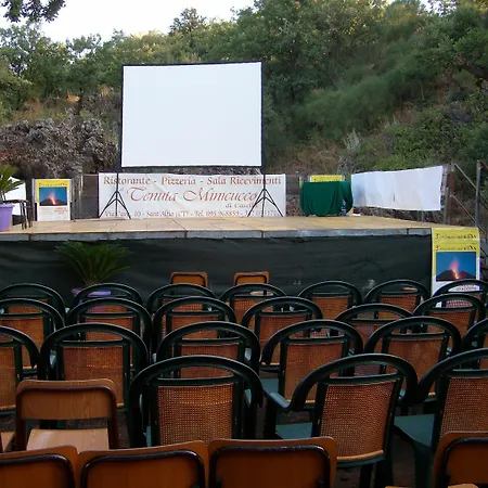 Viola Nel Parco SantʼAlfio