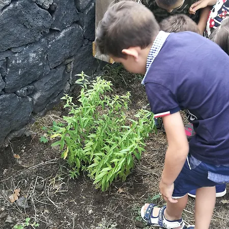 Farmház Viola Nel Parco *