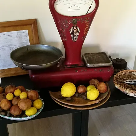 Viola Nel Parco Farmház