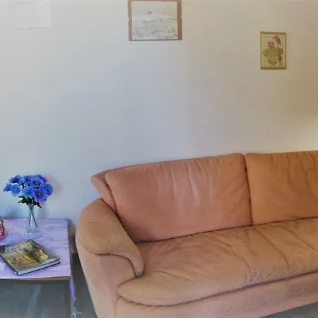 Viola Nel Parco SantʼAlfio