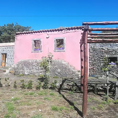 Viola Nel Parco SantʼAlfio
