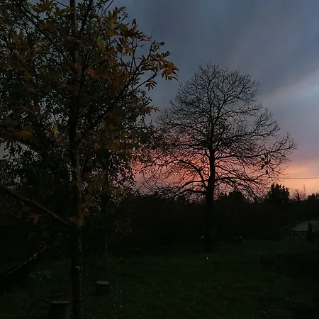 Viola Nel Parco Farmház