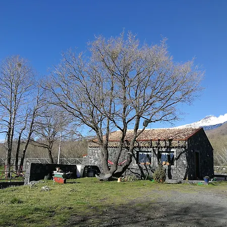 Viola Nel Parco Farmház *