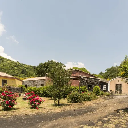 Viola Nel Parco * SantʼAlfio