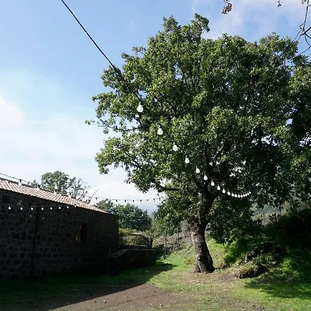 Viola Nel Parco * SantʼAlfio